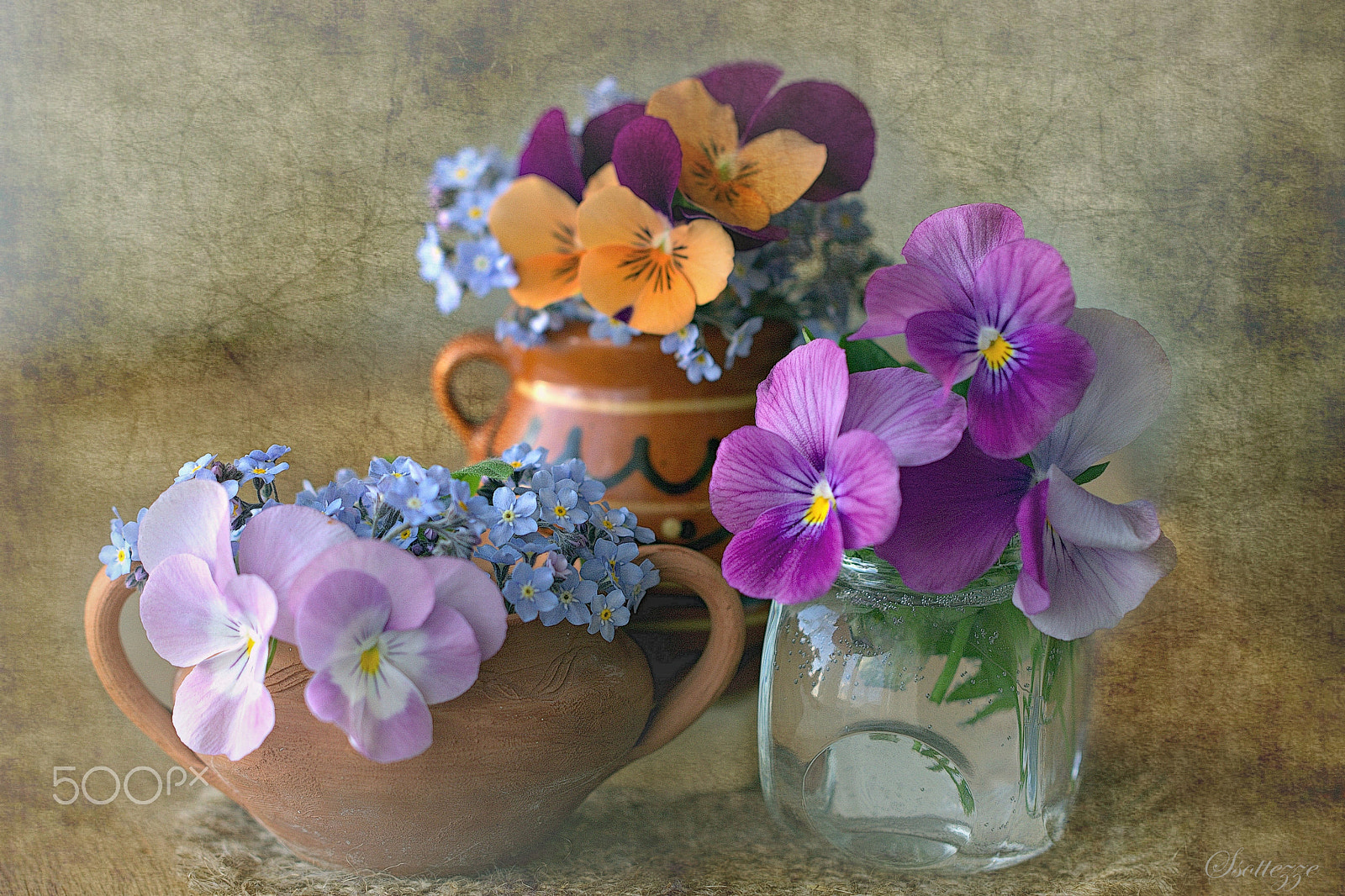 Canon EF 100mm F2.8L Macro IS USM sample photo. Pansies photography
