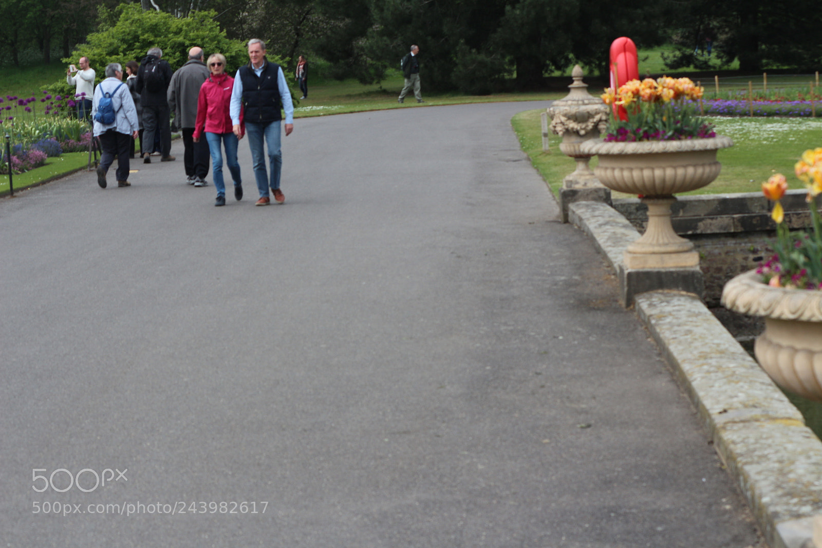 Canon EOS 650D (EOS Rebel T4i / EOS Kiss X6i) sample photo. Img photography