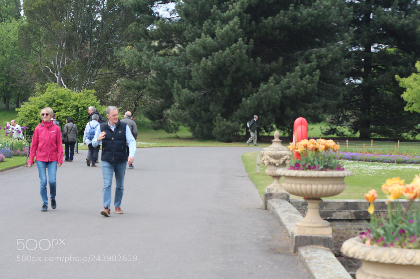 Canon EOS 650D (EOS Rebel T4i / EOS Kiss X6i) sample photo. Img photography