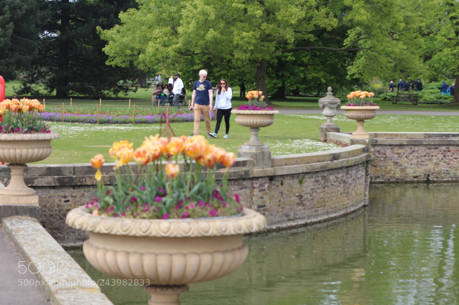Canon EOS 650D (EOS Rebel T4i / EOS Kiss X6i) sample photo. Img photography