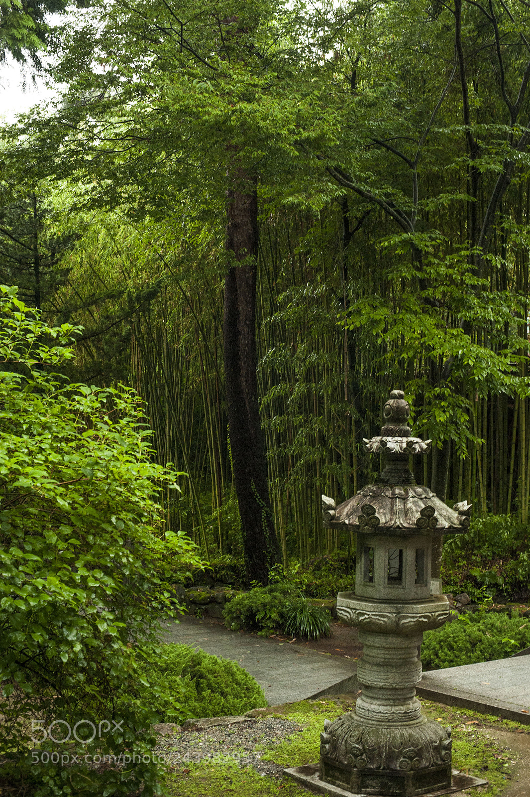 Nikon D700 sample photo. 쌍계사 photography