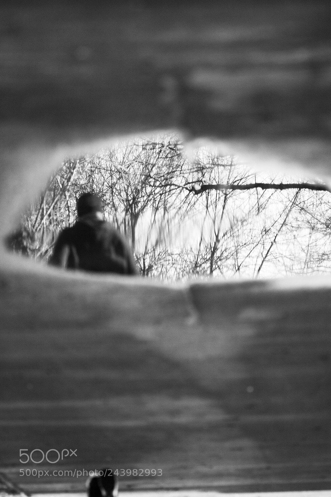 Canon EOS 30D sample photo. Winter jogger photography