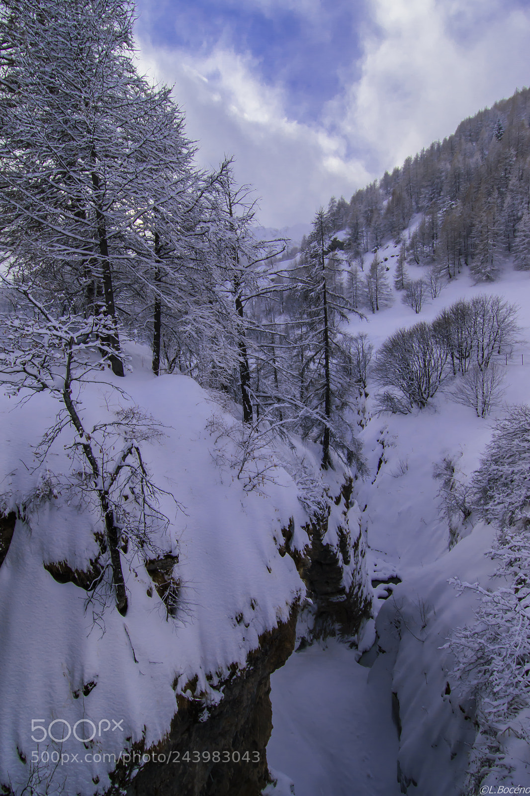Nikon D5500 sample photo. Fresh snow landscape photography