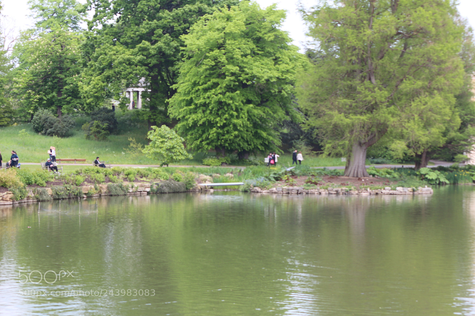 Canon EOS 650D (EOS Rebel T4i / EOS Kiss X6i) sample photo. Img photography