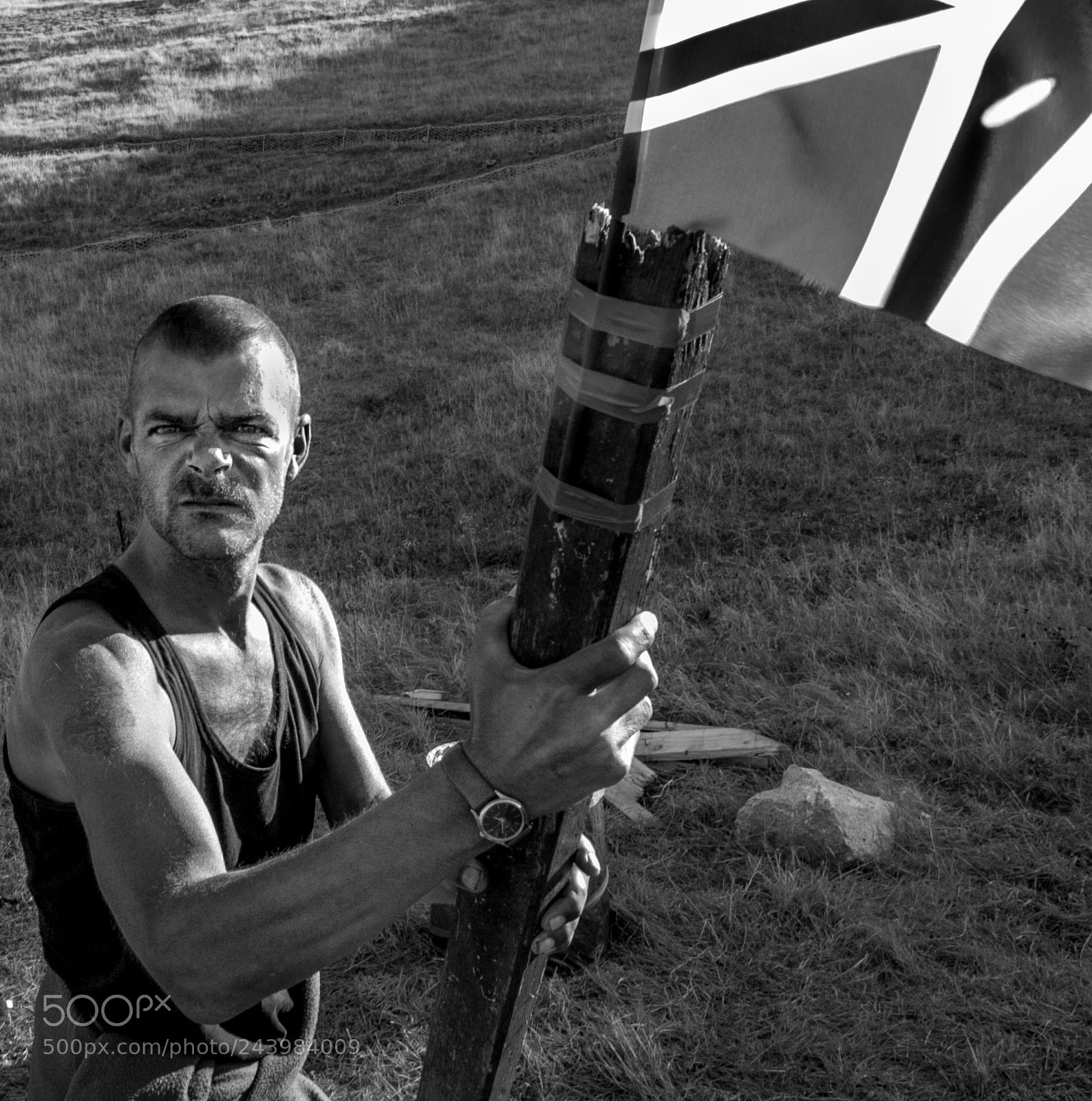 Nikon D100 sample photo. Angry photography