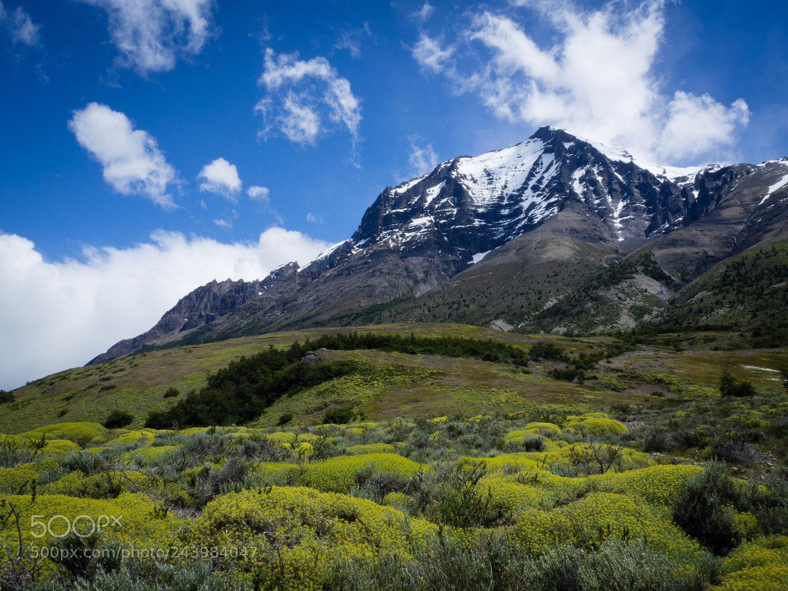 Olympus OM-D E-M10 III sample photo. Torres del paine photography