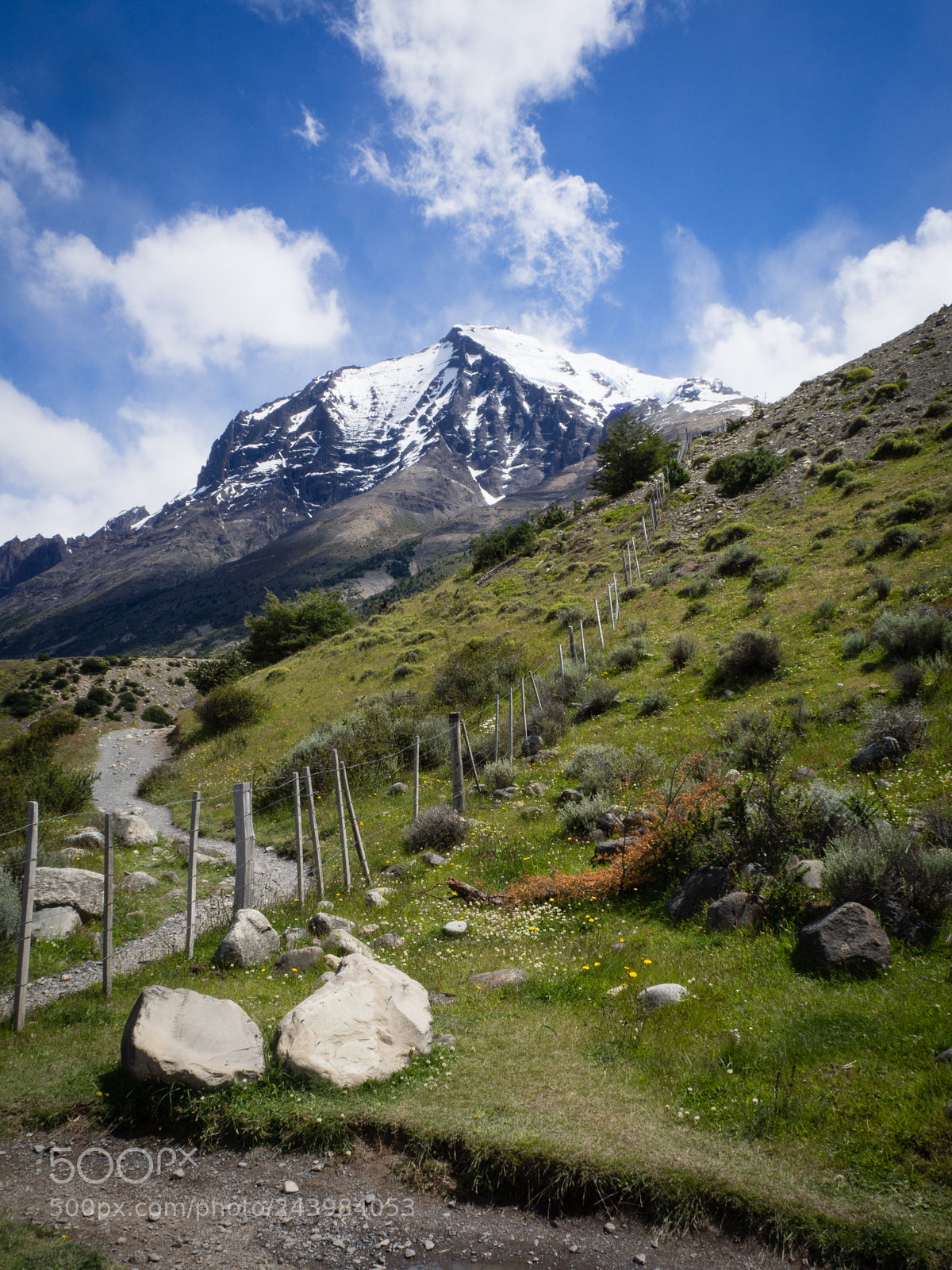 Olympus OM-D E-M10 III sample photo. Torres del paine photography