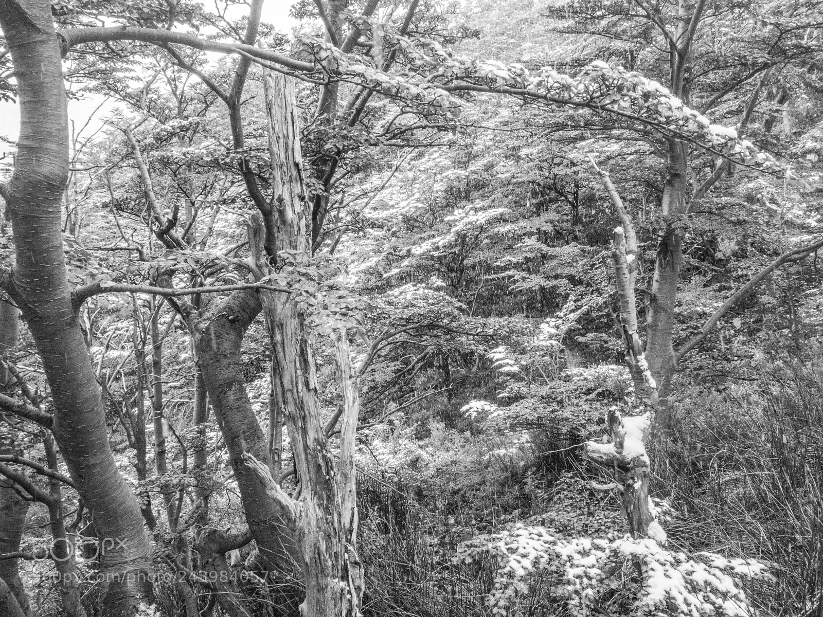 Olympus OM-D E-M10 III sample photo. Torres del paine photography