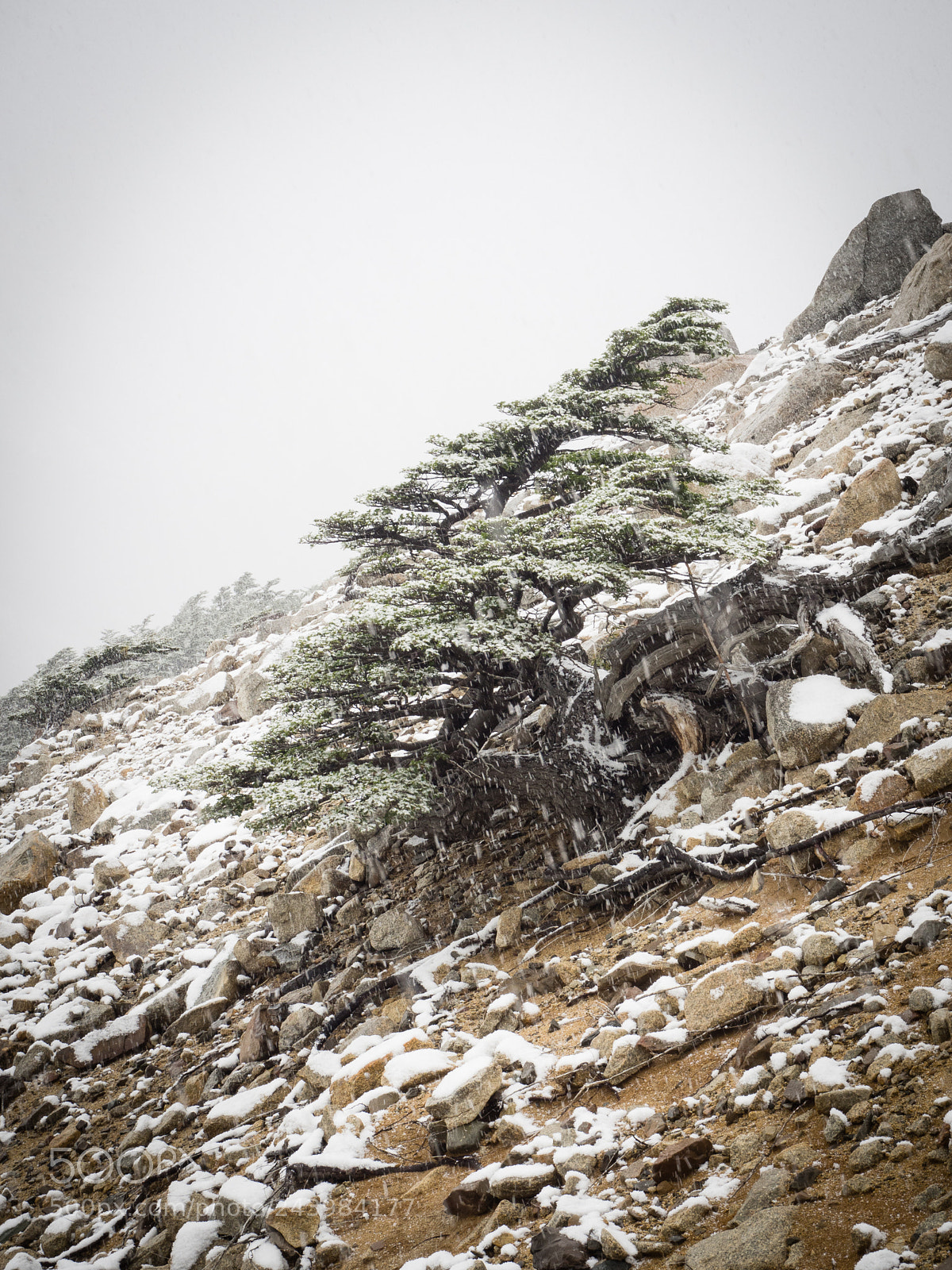 Olympus OM-D E-M10 III sample photo. Torres del paine photography