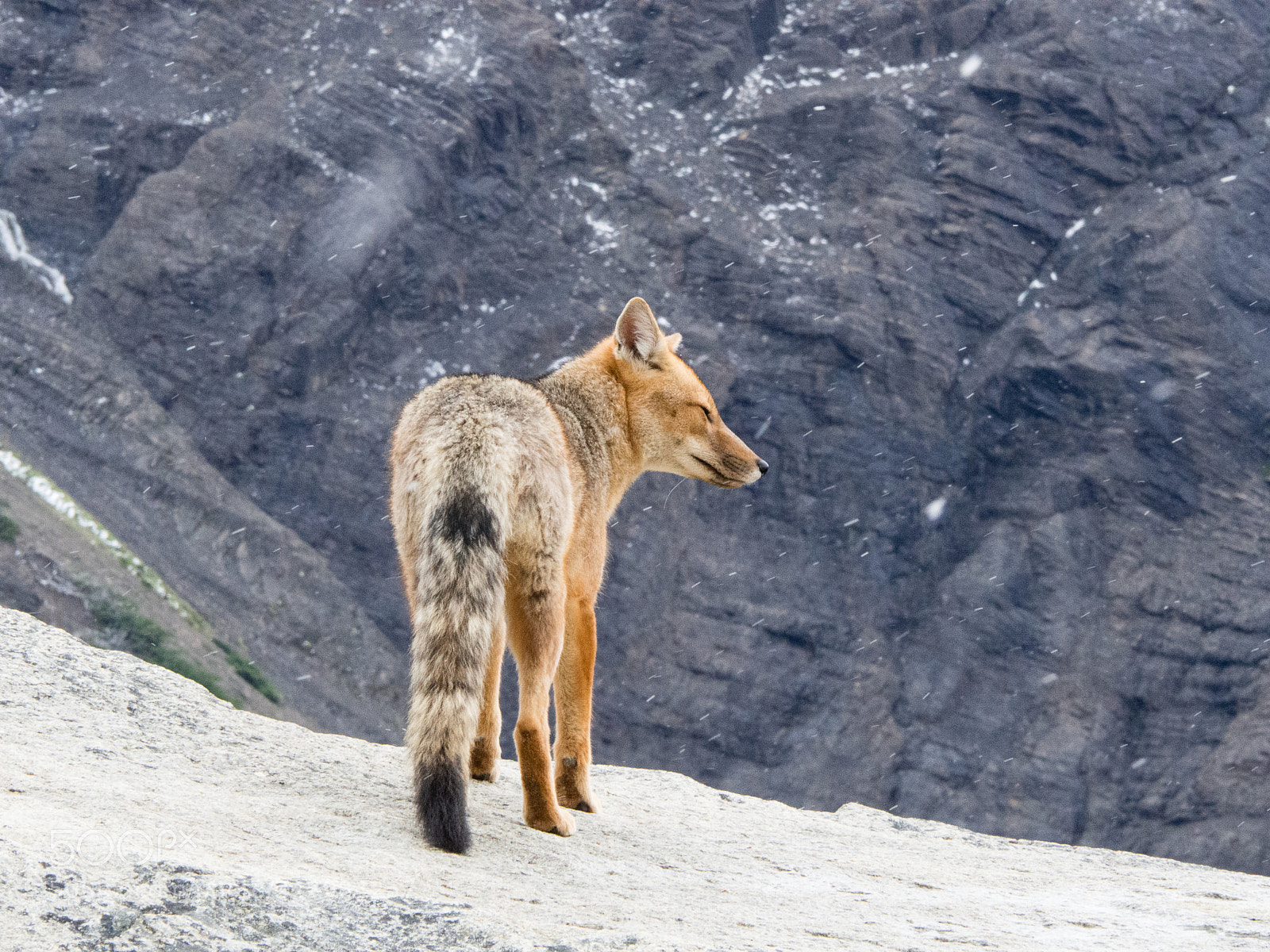 Olympus OM-D E-M10 III sample photo. Torres del paine photography