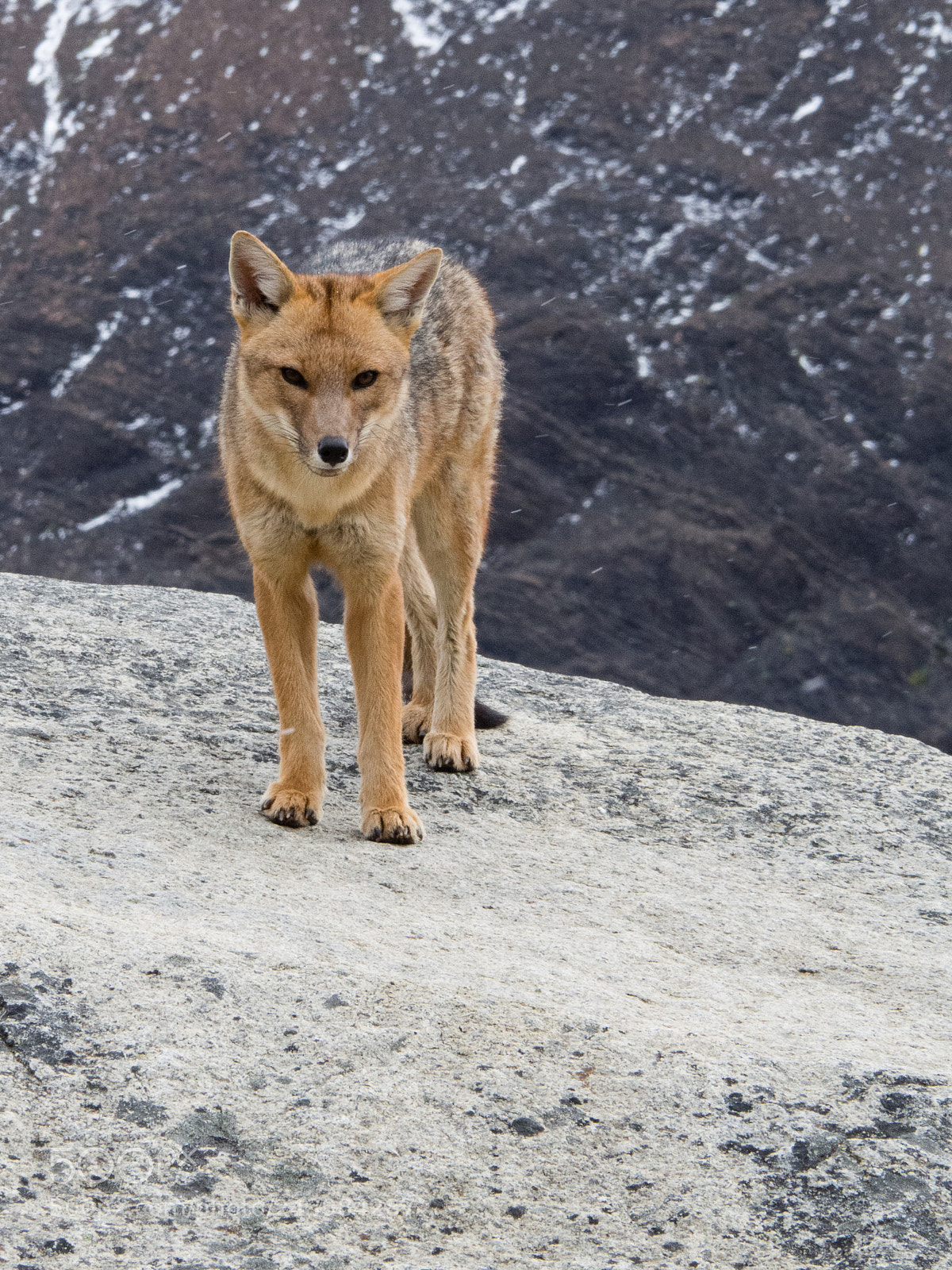 Olympus OM-D E-M10 III sample photo. Torres del paine photography