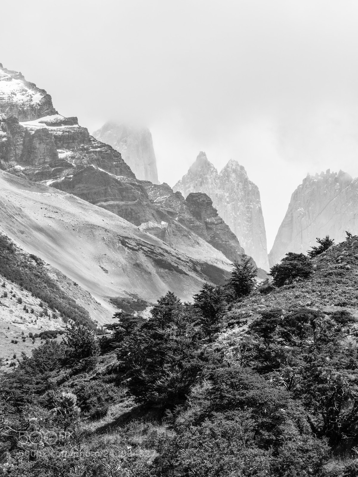 Olympus OM-D E-M10 III sample photo. Torres del paine photography