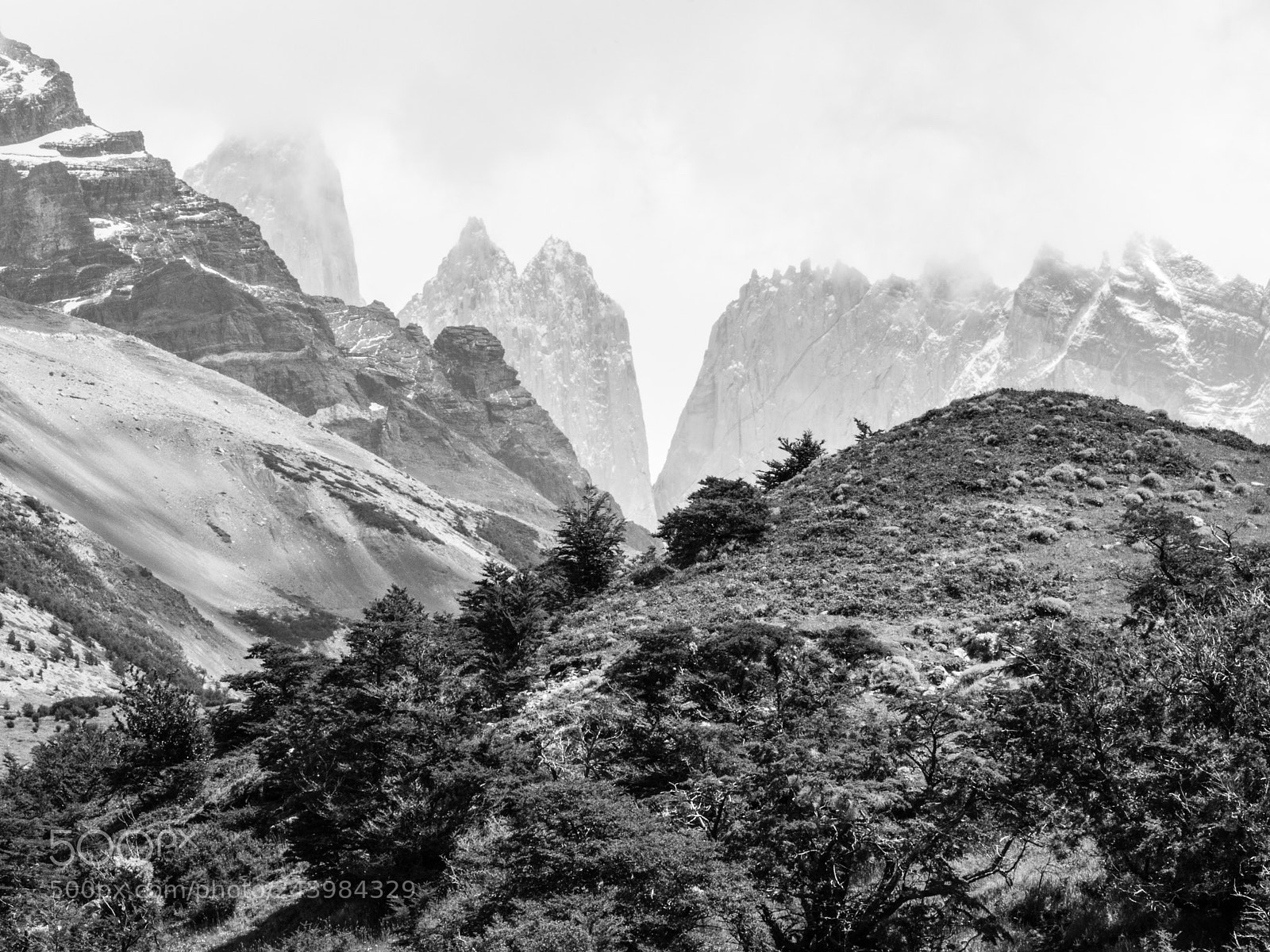 Olympus OM-D E-M10 III sample photo. Torres del paine photography