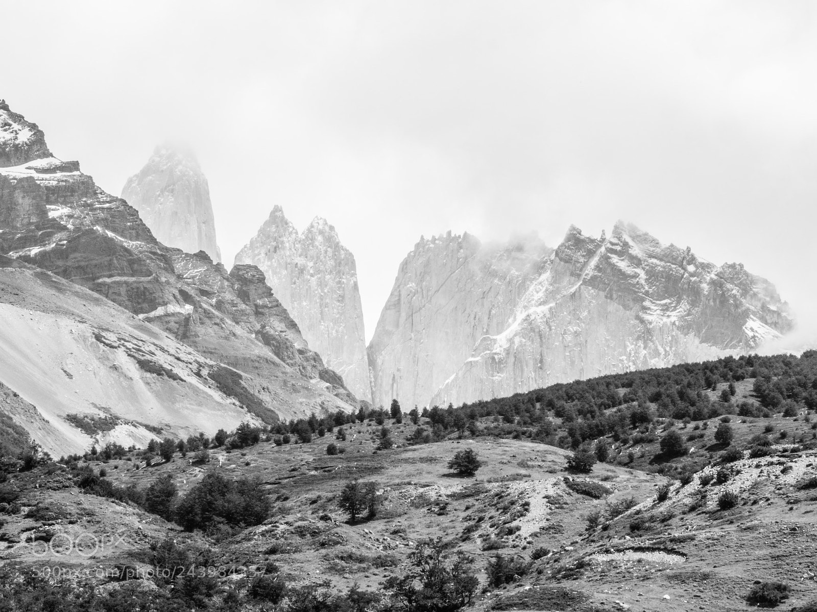 Olympus OM-D E-M10 III sample photo. Torres del paine photography