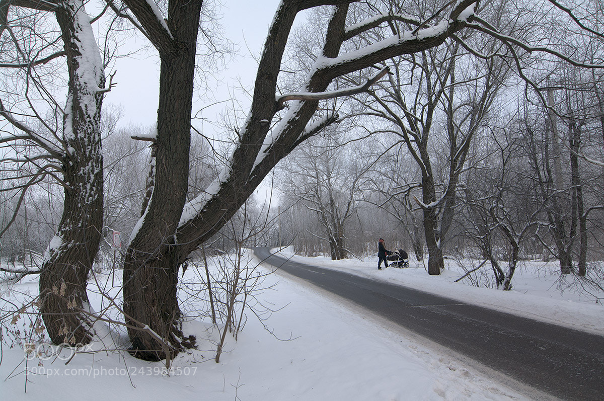 Pentax K-7 sample photo. Winter walk. photography