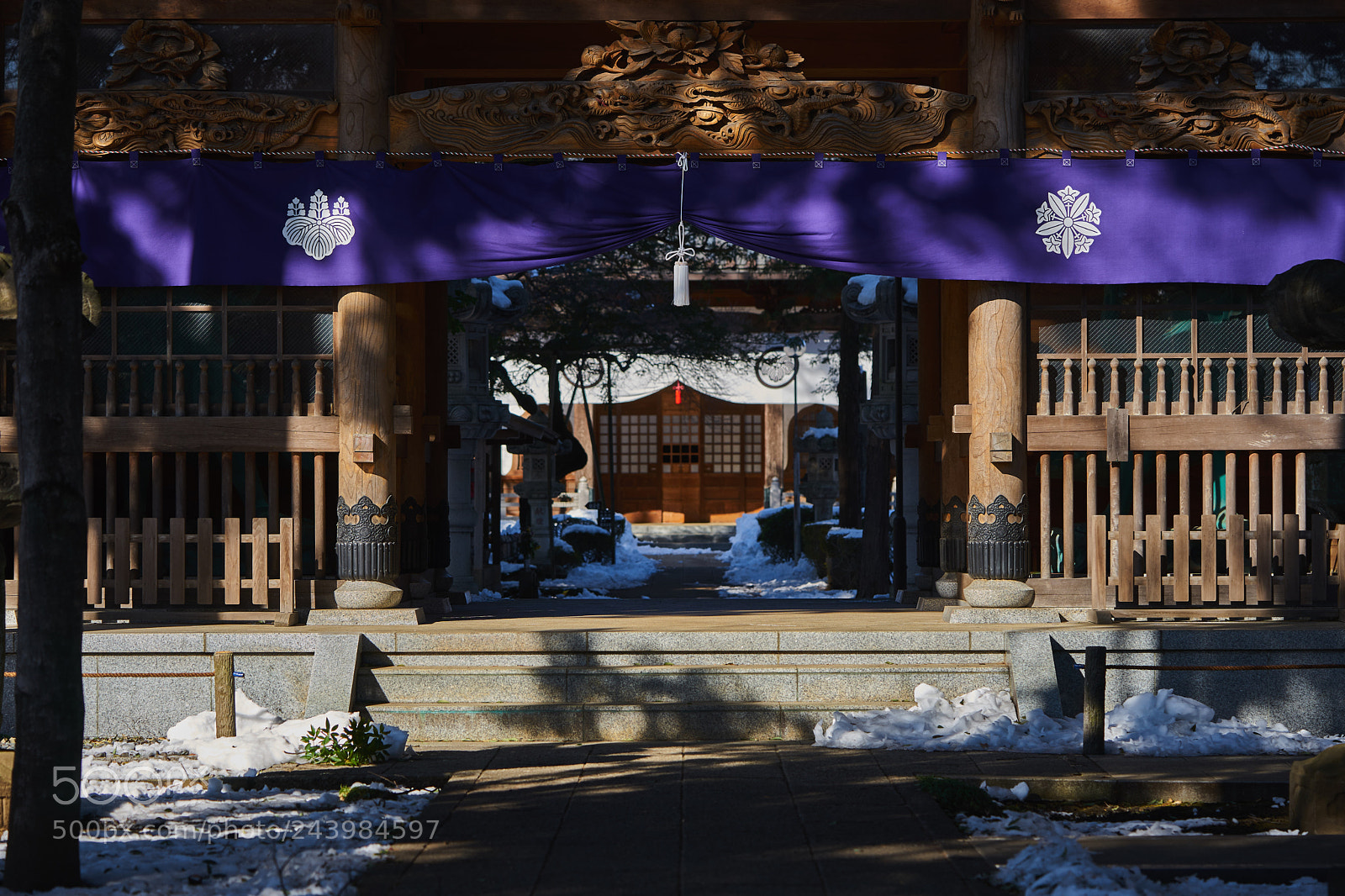 Sony a7 sample photo. Street 246 photography