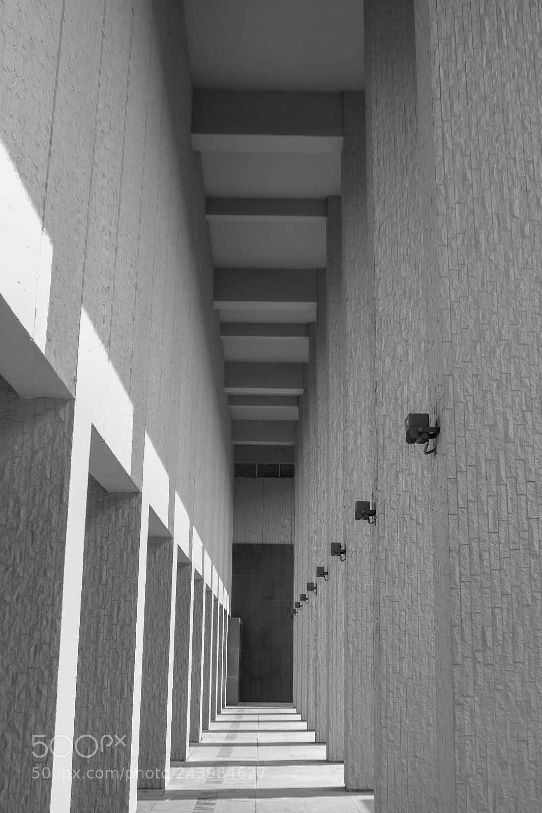 Canon EOS 760D (EOS Rebel T6s / EOS 8000D) sample photo. Untitled photography