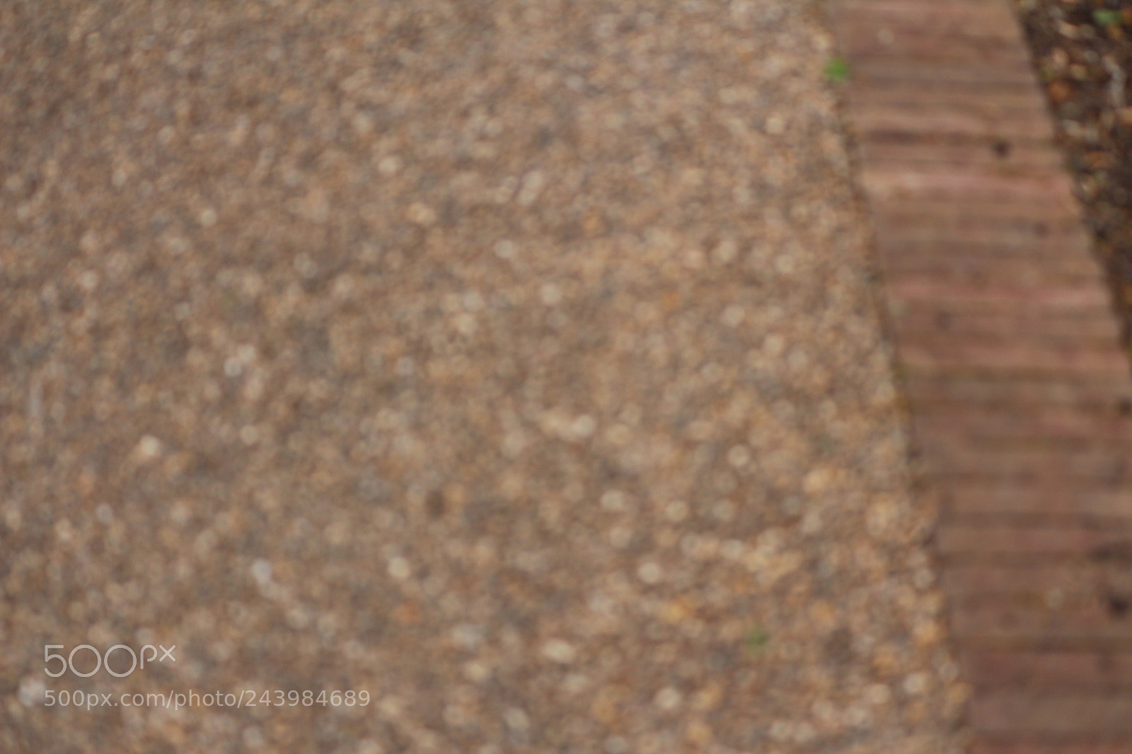 Canon EOS 650D (EOS Rebel T4i / EOS Kiss X6i) sample photo. Img photography