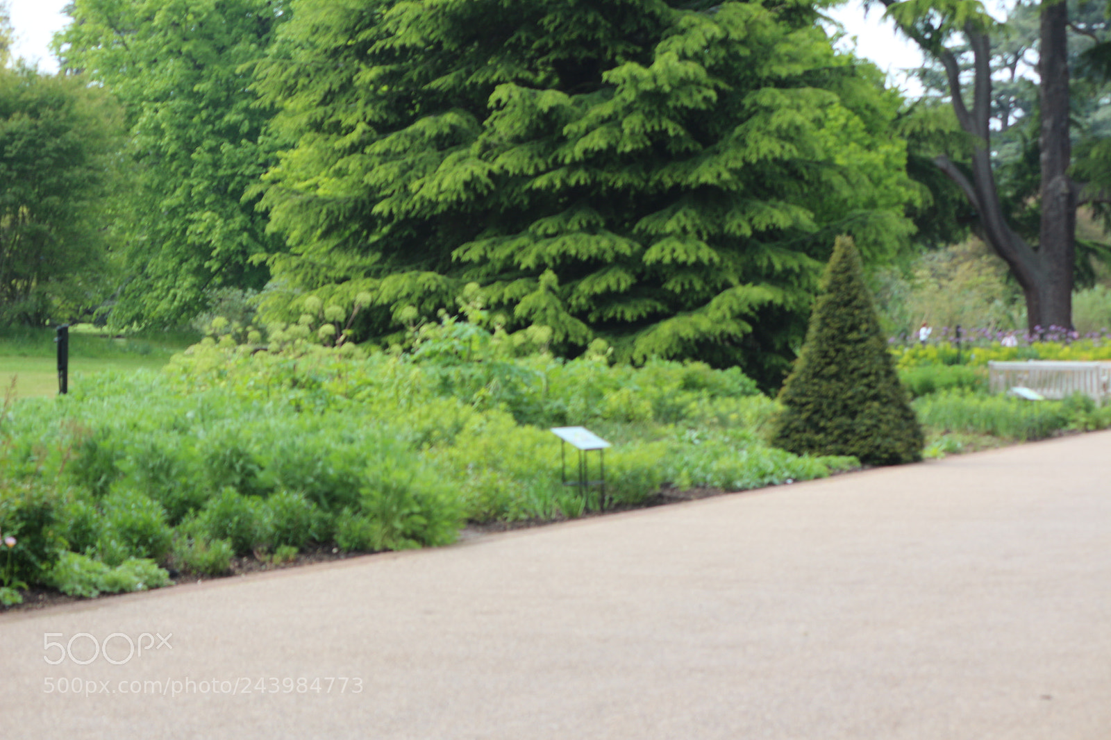 Canon EOS 650D (EOS Rebel T4i / EOS Kiss X6i) sample photo. Img photography