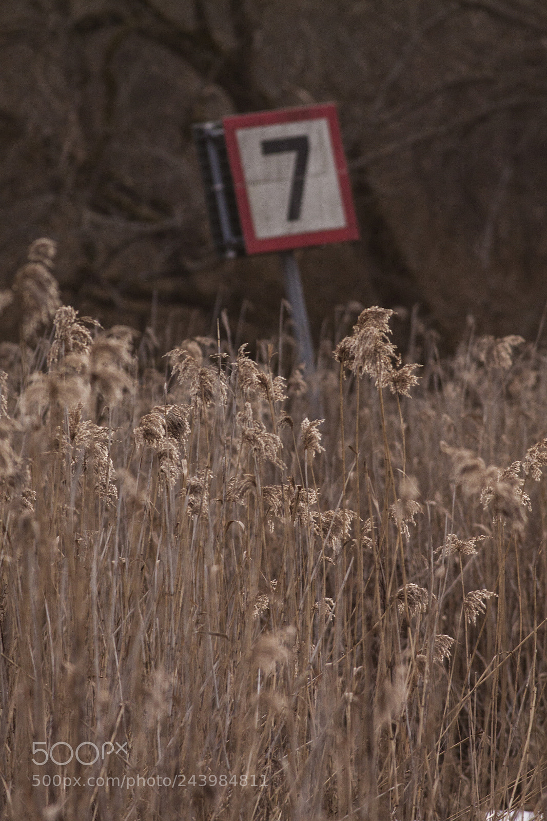 Canon EOS 50D sample photo. Speed limmit seven knots photography