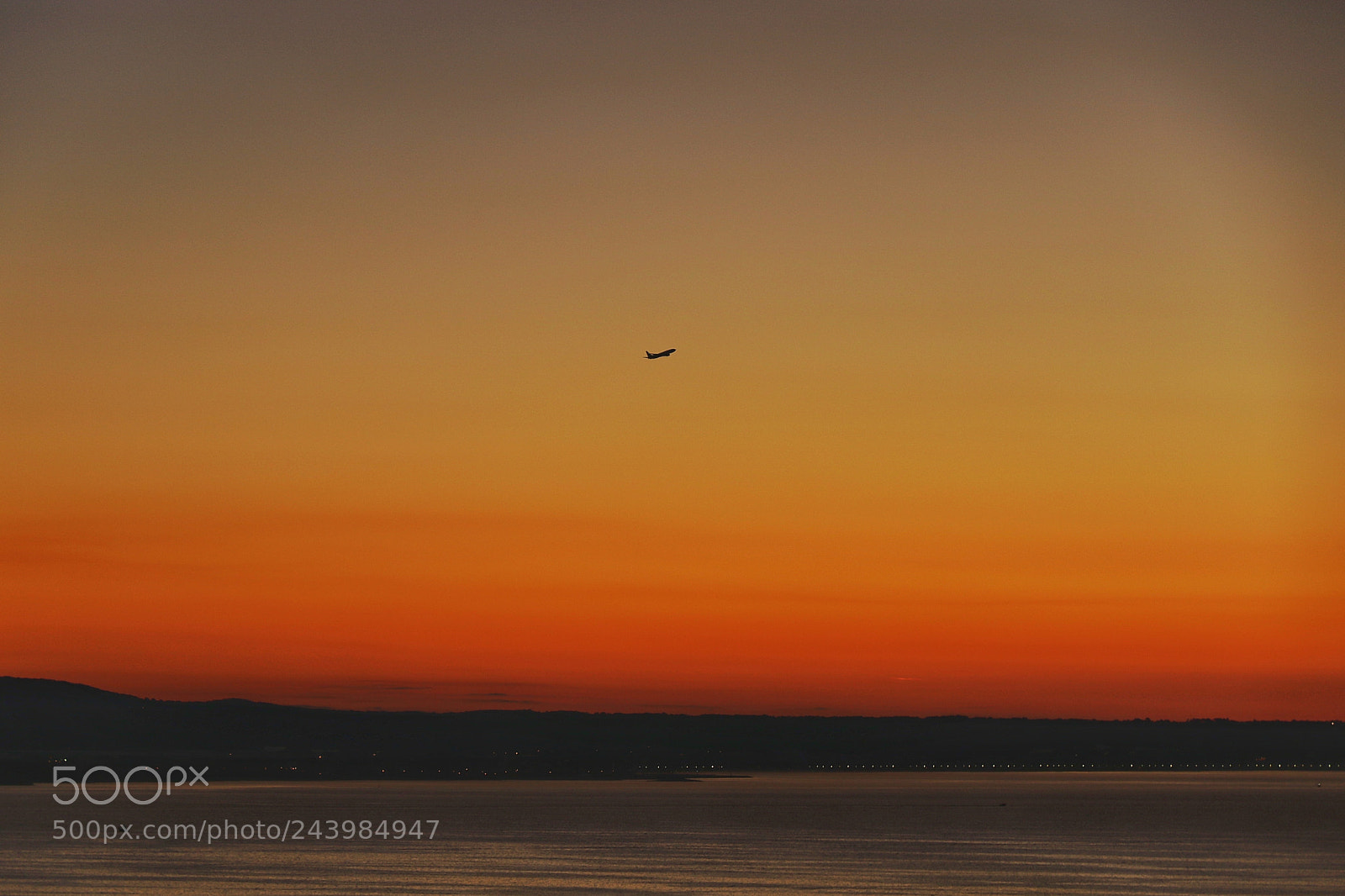 Canon EOS 7D Mark II sample photo. Flight at dawn photography
