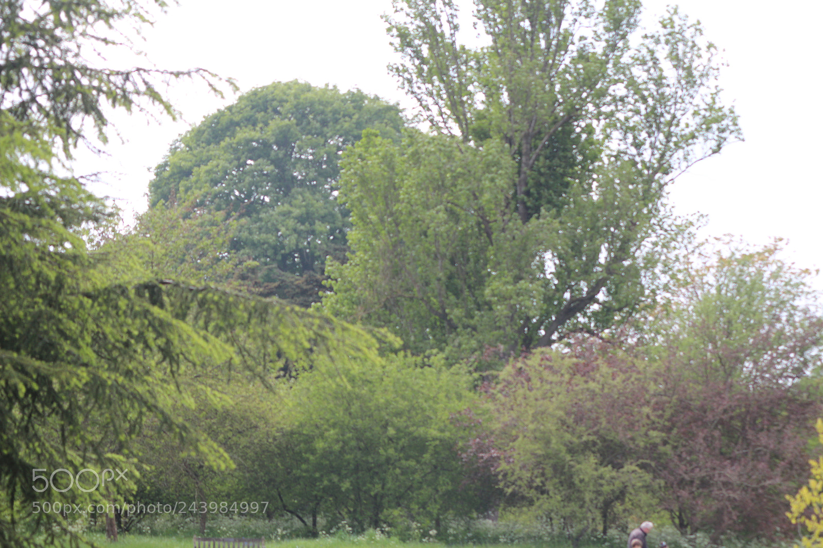 Canon EOS 650D (EOS Rebel T4i / EOS Kiss X6i) sample photo. Img photography