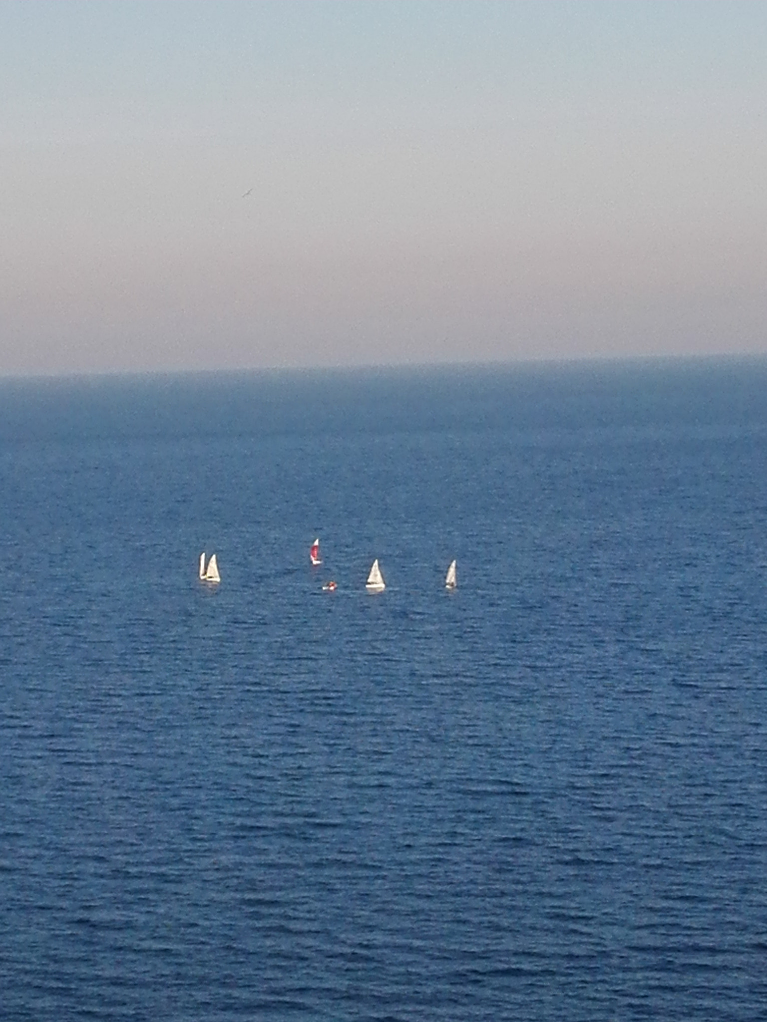 HUAWEI P7-L10 sample photo. Italy- bari- sailboats photography