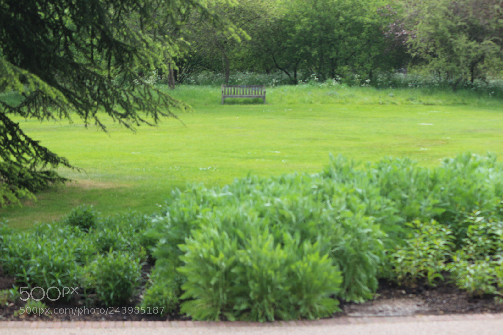 Canon EOS 650D (EOS Rebel T4i / EOS Kiss X6i) sample photo. Img photography