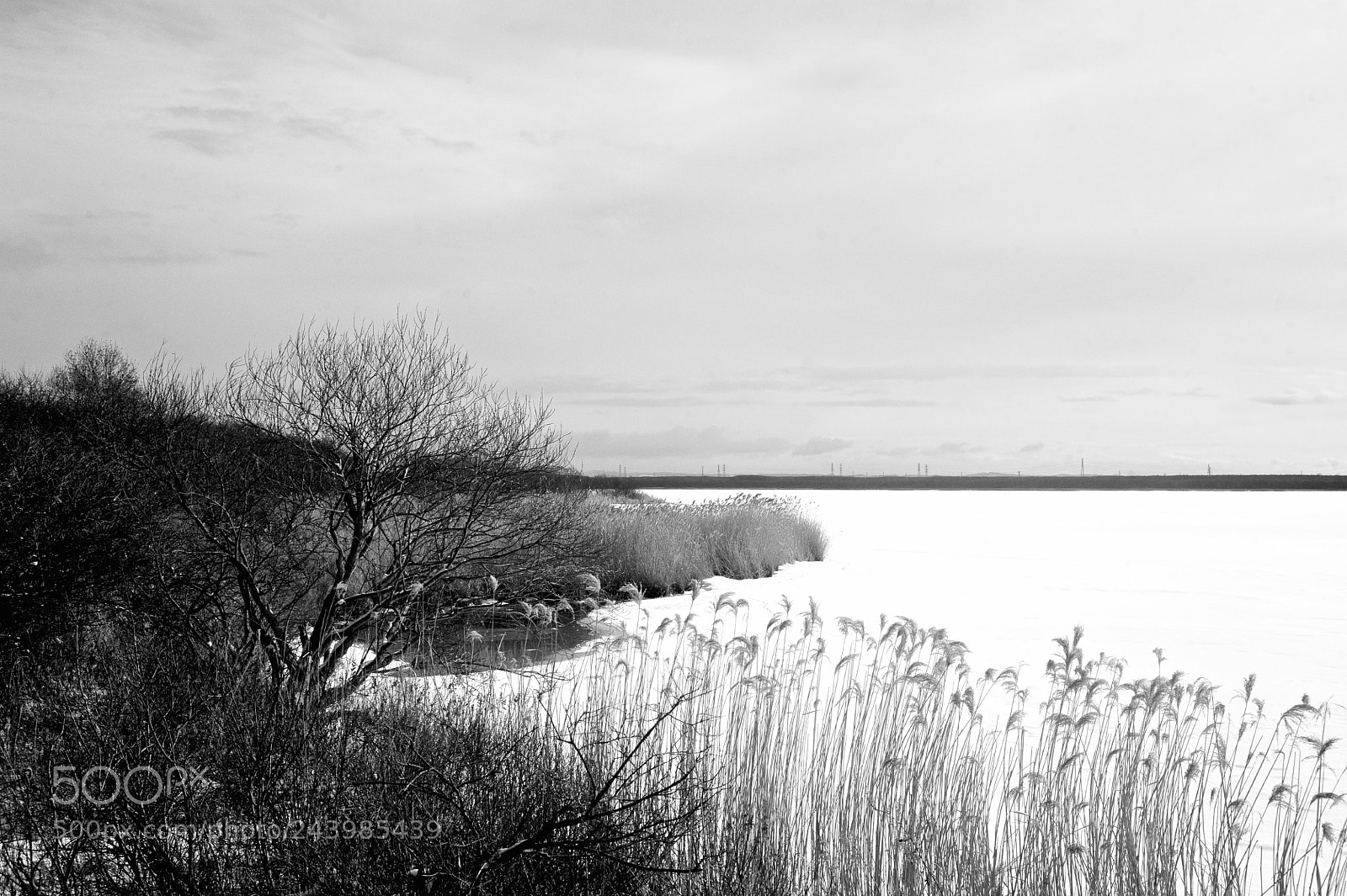 Nikon D700 sample photo. Winter lake photography