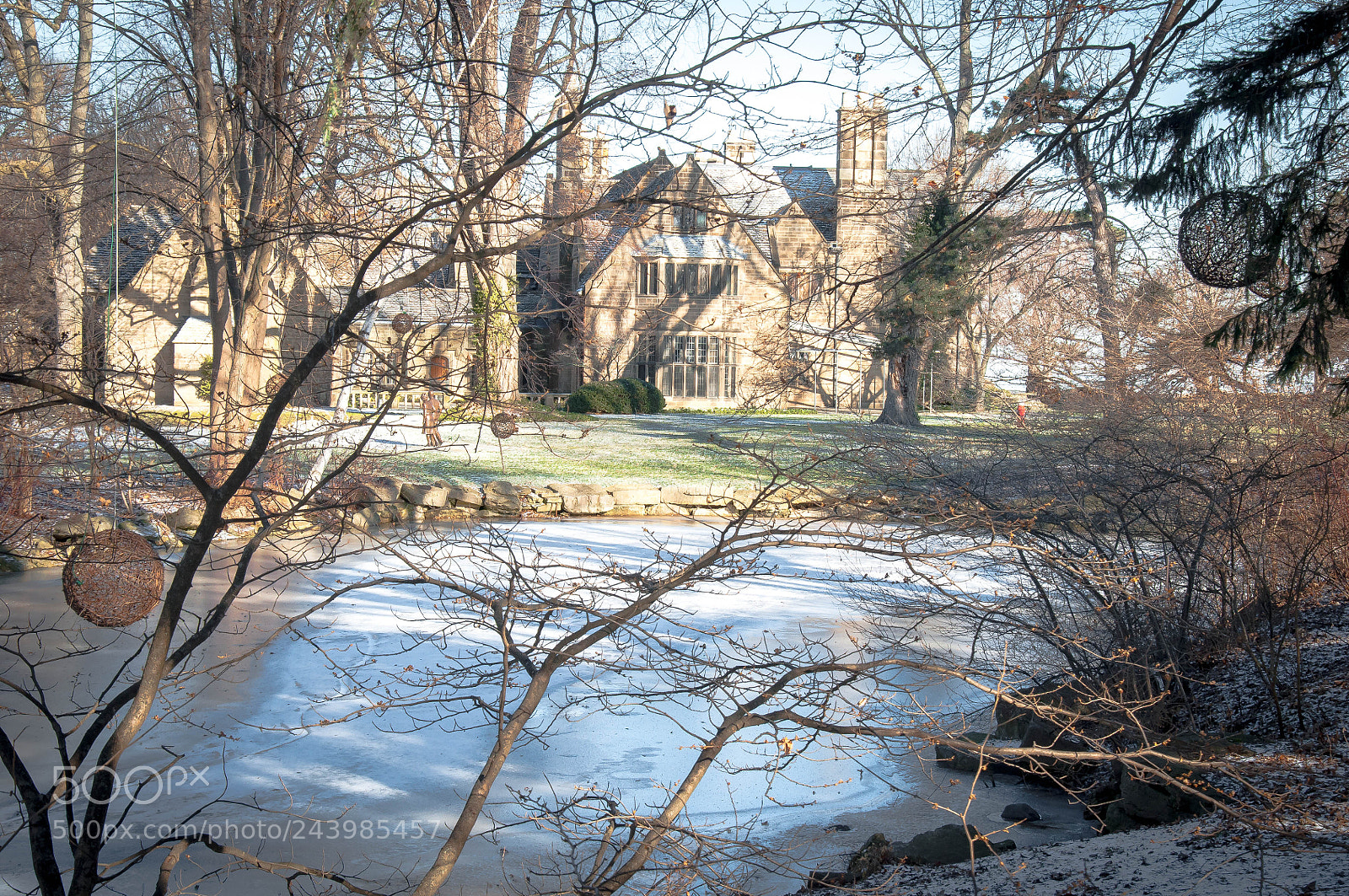 Nikon D90 sample photo. Edsel on ice photography
