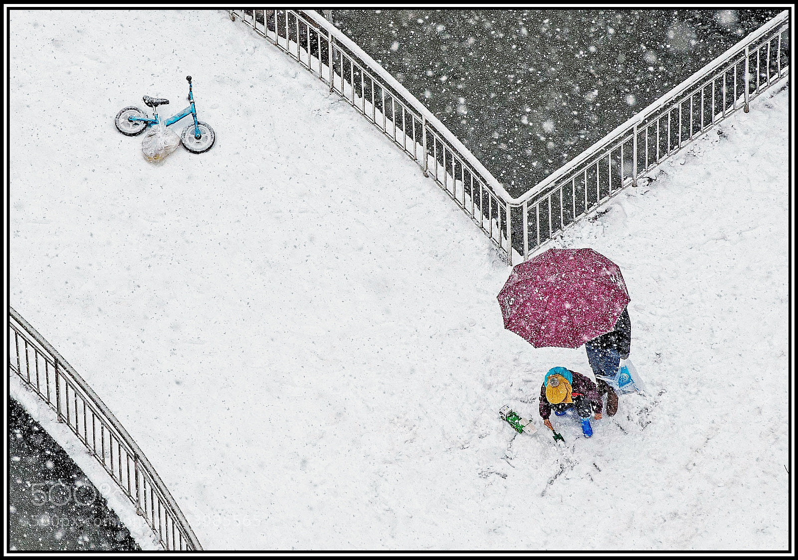 Nikon D800 sample photo. Untitled photography