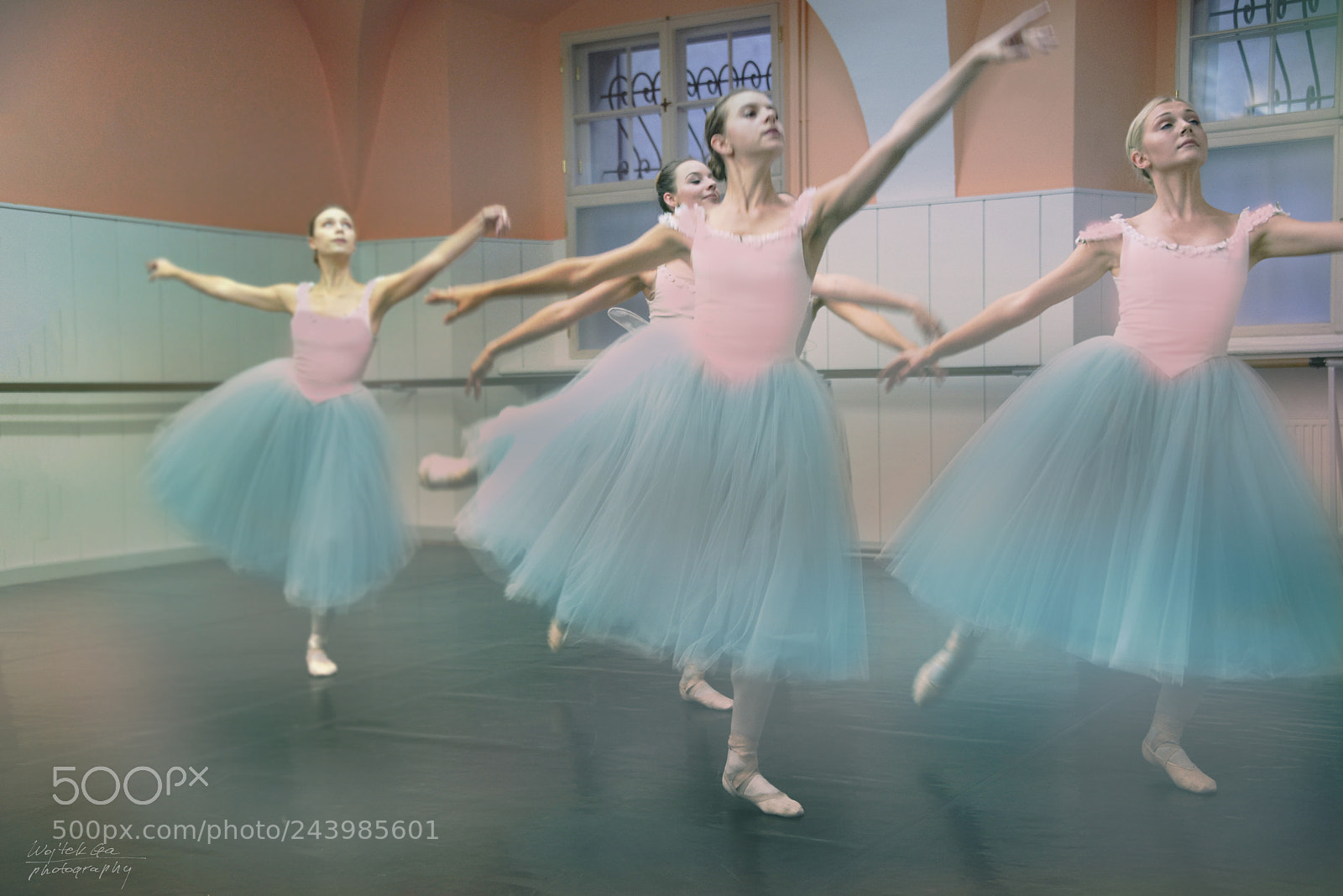 Nikon D800 sample photo. The walz photography