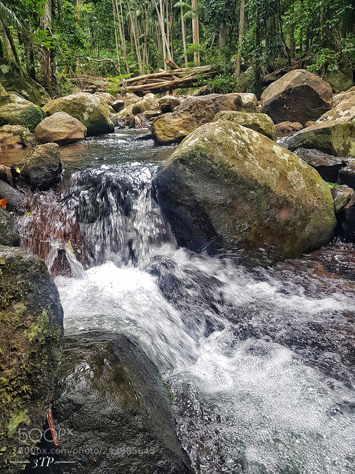 Samsung Galaxy S8+ sample photo. Curtis falls photography