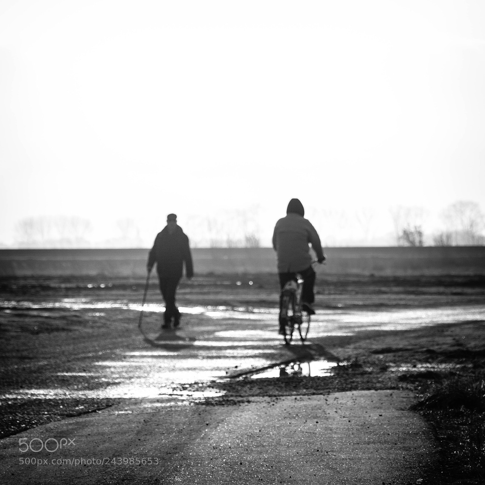 Fujifilm X-T2 sample photo. Untitled photography