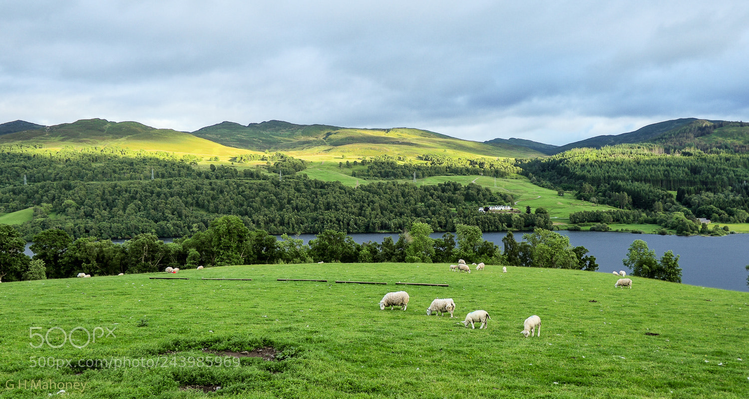 Olympus OM-D E-M10 II sample photo. Loch brora, evening photography