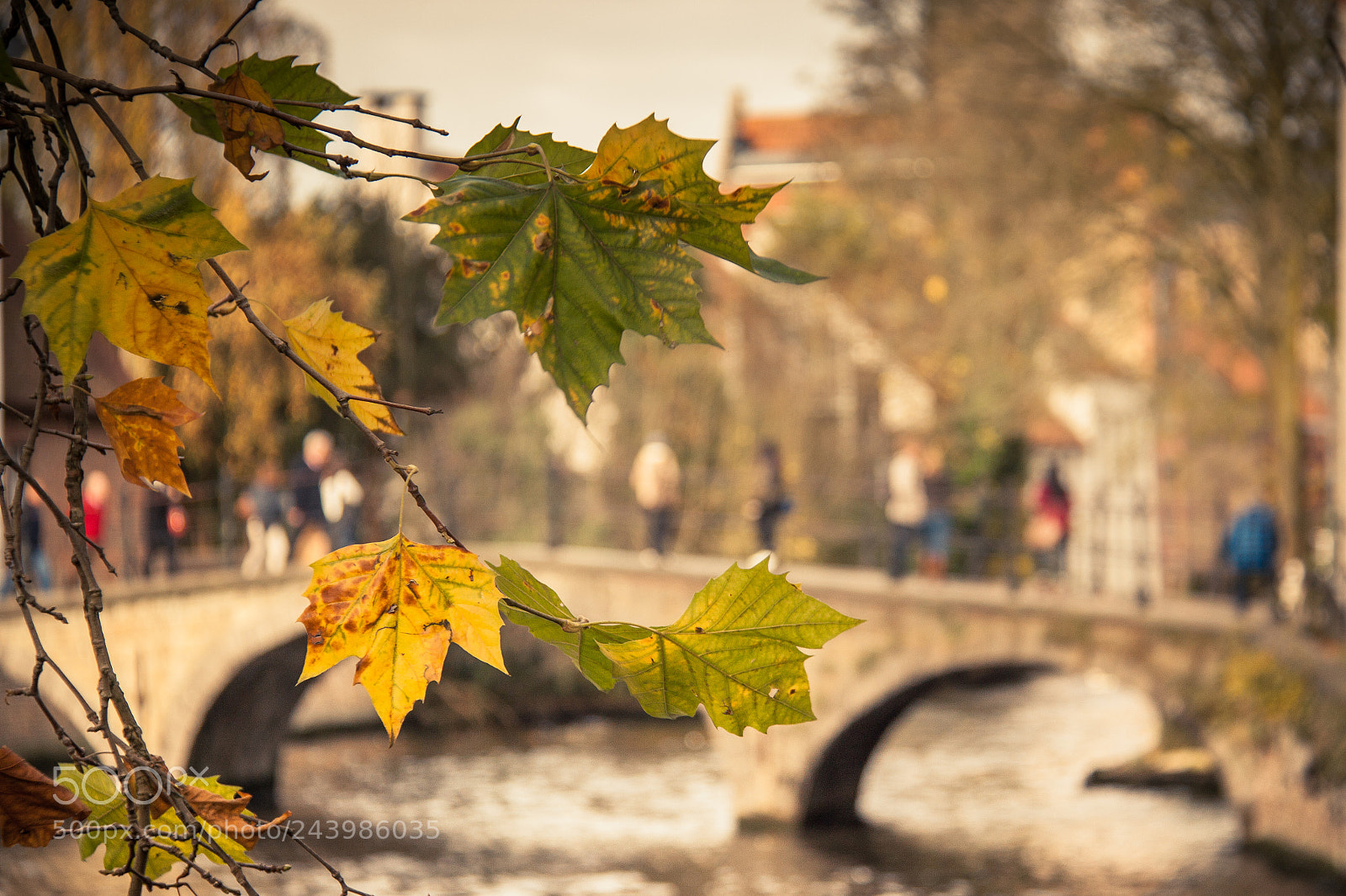 Canon EOS 500D (EOS Rebel T1i / EOS Kiss X3) sample photo. Autumn in bruges photography