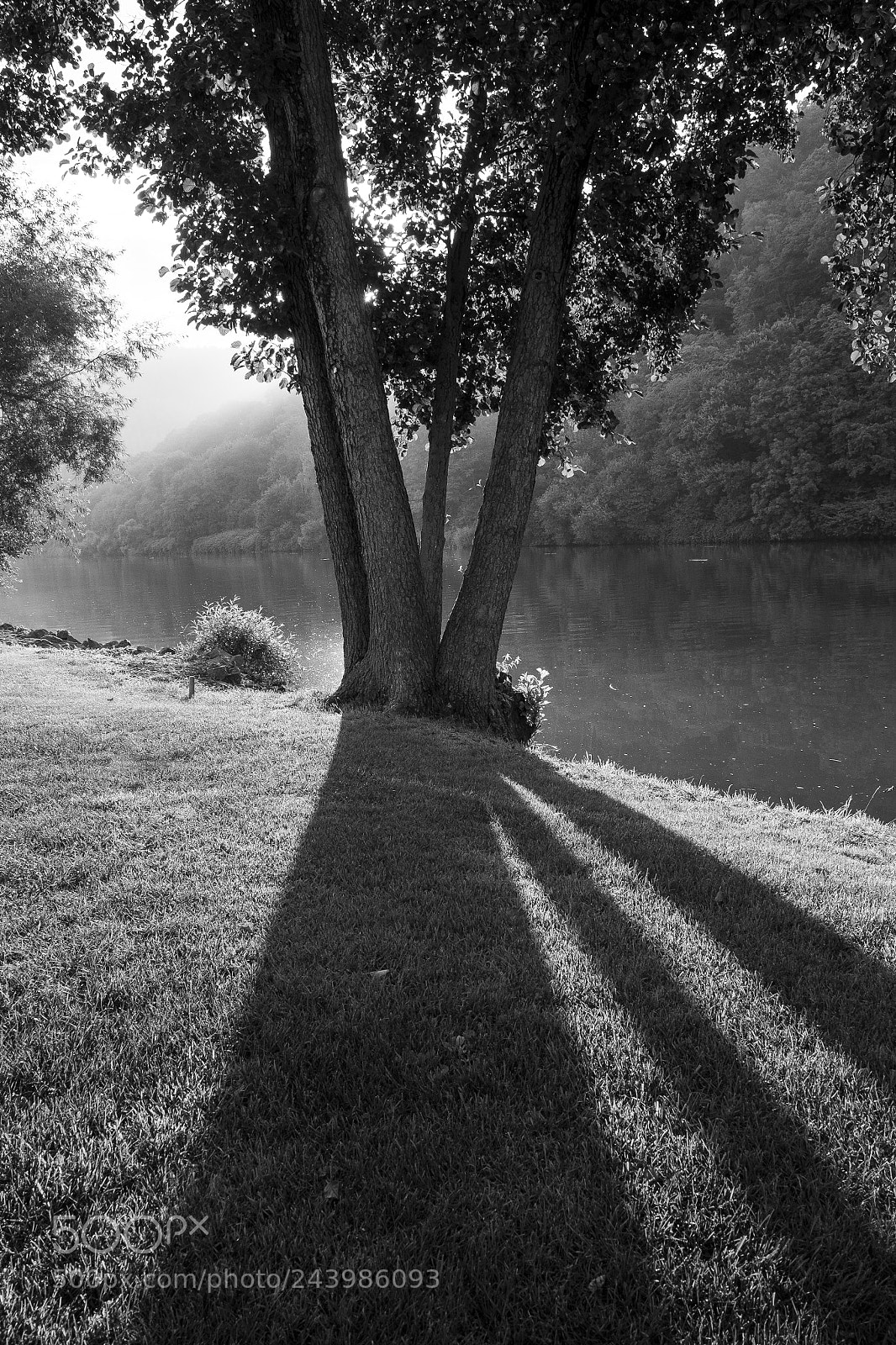 Fujifilm X-T1 sample photo. Uferschatten in schwarzweiß photography