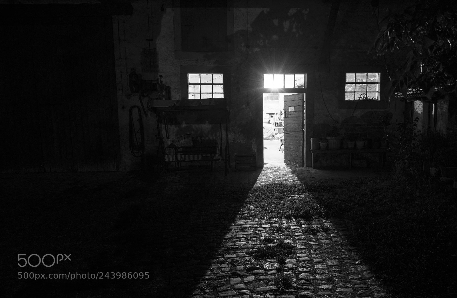 Fujifilm X-T1 sample photo. Offene stallt r mit photography