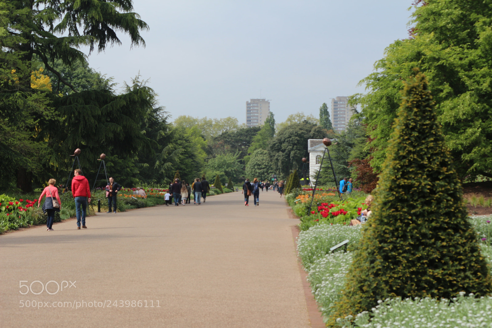 Canon EOS 650D (EOS Rebel T4i / EOS Kiss X6i) sample photo. Img photography