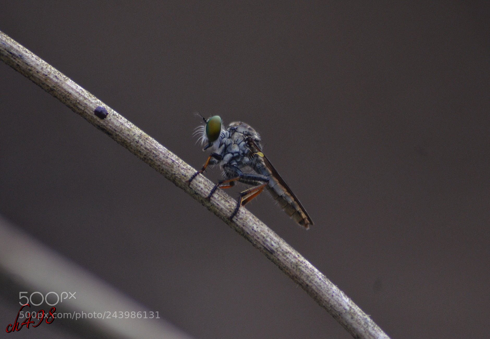 Nikon D5100 sample photo. After work photography