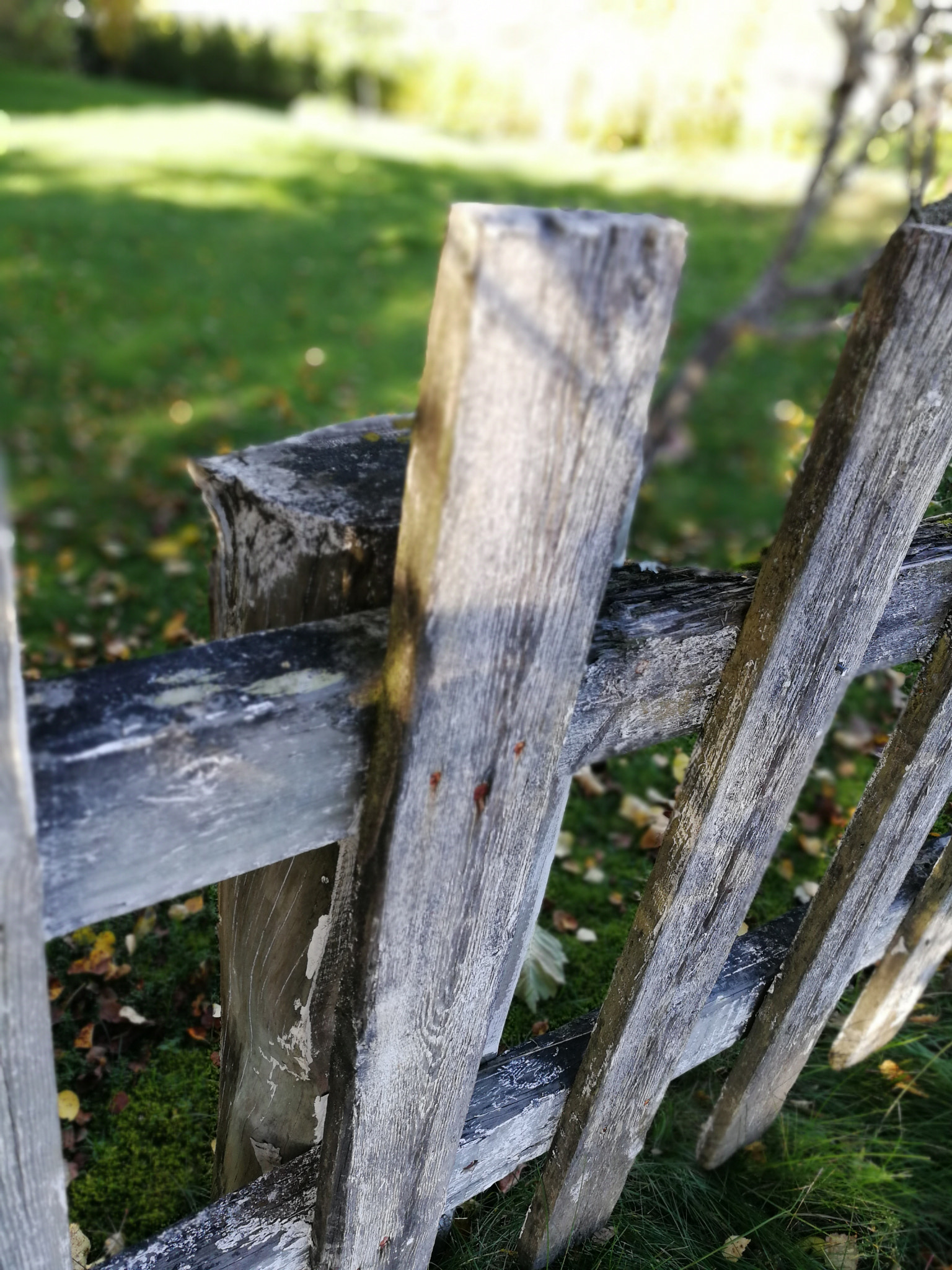 HUAWEI Honor 8 Pro sample photo. Odd wooded fence photography