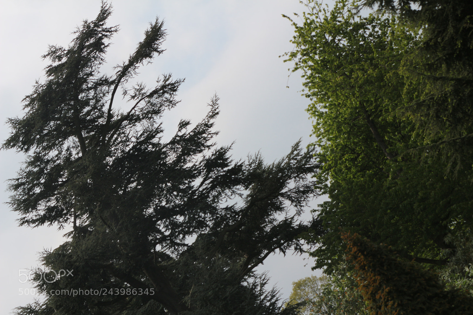 Canon EOS 650D (EOS Rebel T4i / EOS Kiss X6i) sample photo. Img photography