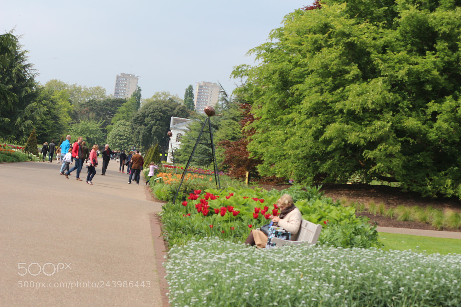 Canon EOS 650D (EOS Rebel T4i / EOS Kiss X6i) sample photo. Img photography