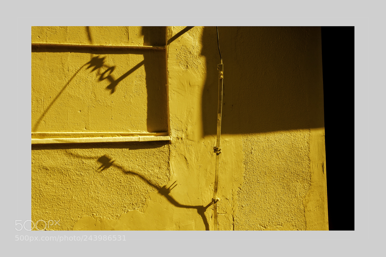 Canon EOS 40D sample photo. The play with form photography