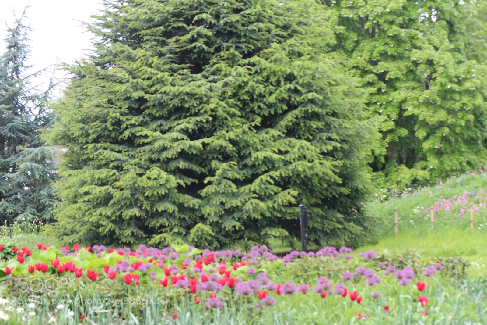 Canon EOS 650D (EOS Rebel T4i / EOS Kiss X6i) sample photo. Img photography