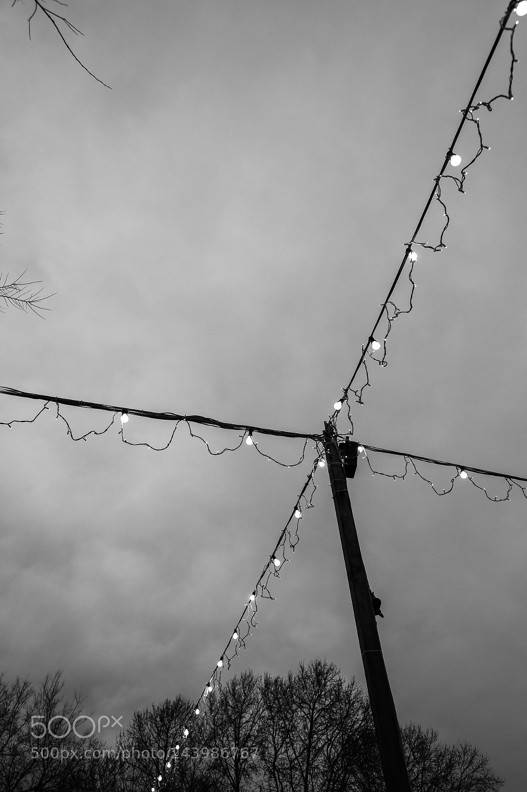 Fujifilm X-T1 sample photo. Lichterkettenkreuzung photography
