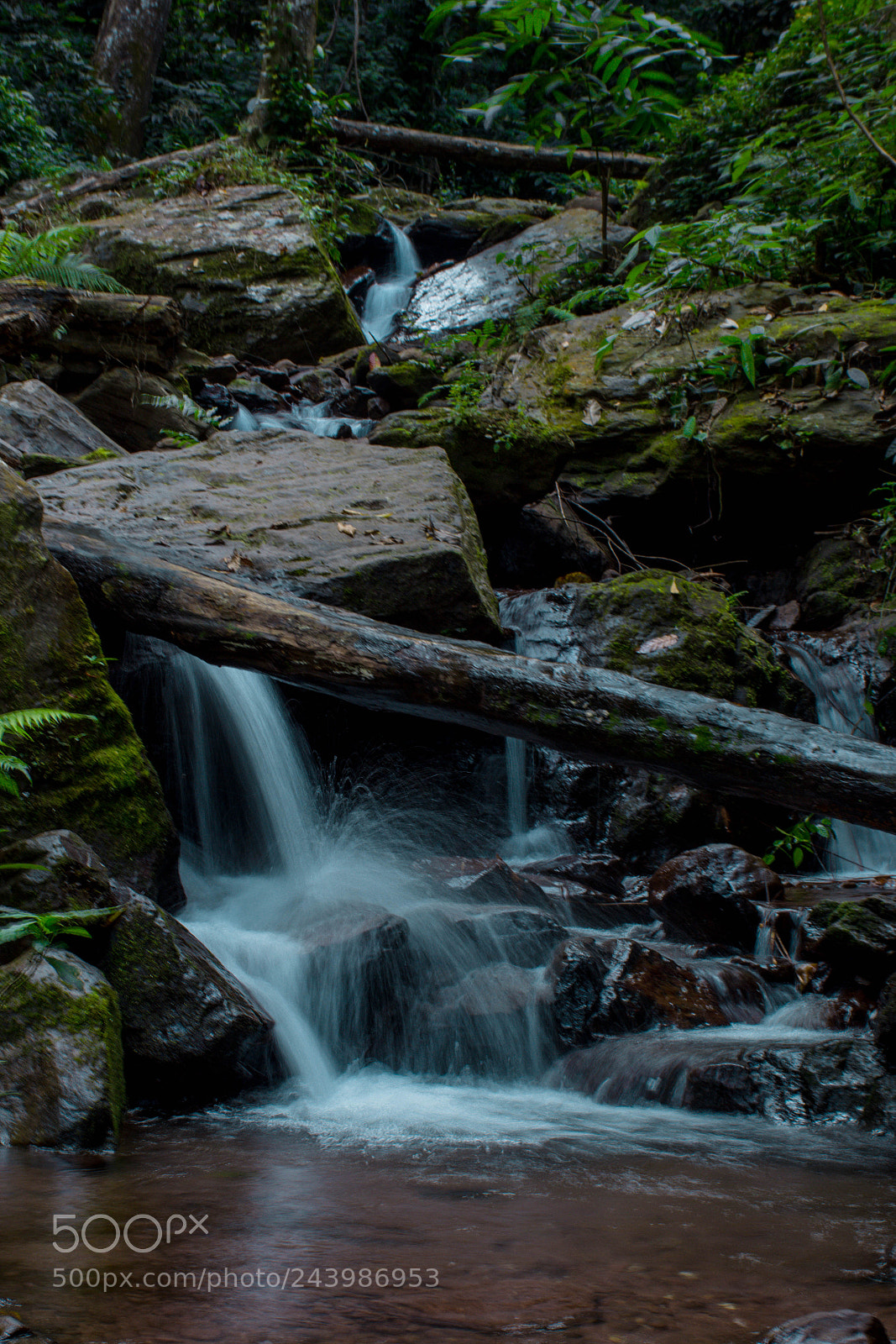 Nikon D7200 sample photo. Little stream photography