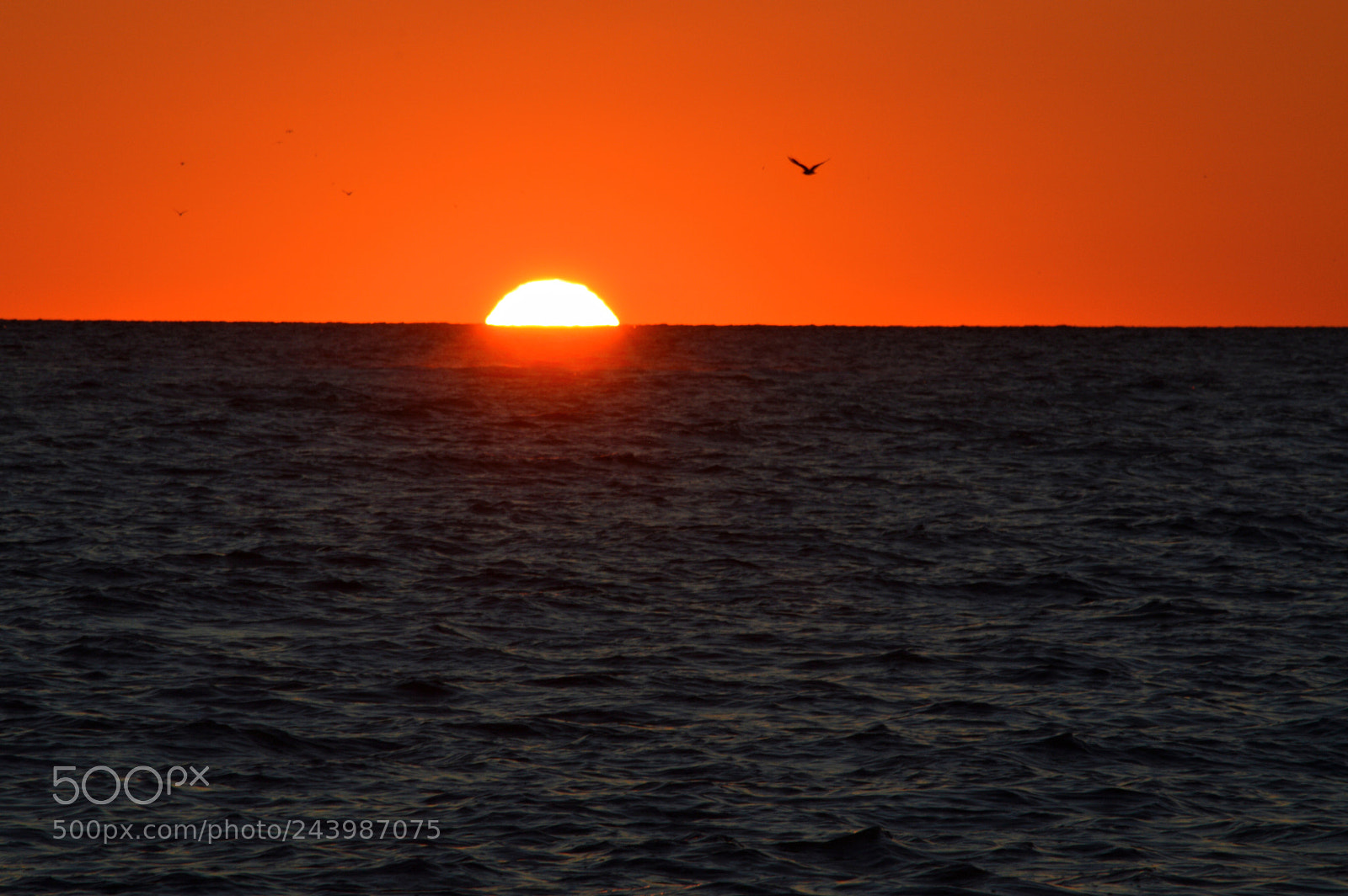 Nikon D3200 sample photo. Deep red sunrise photography
