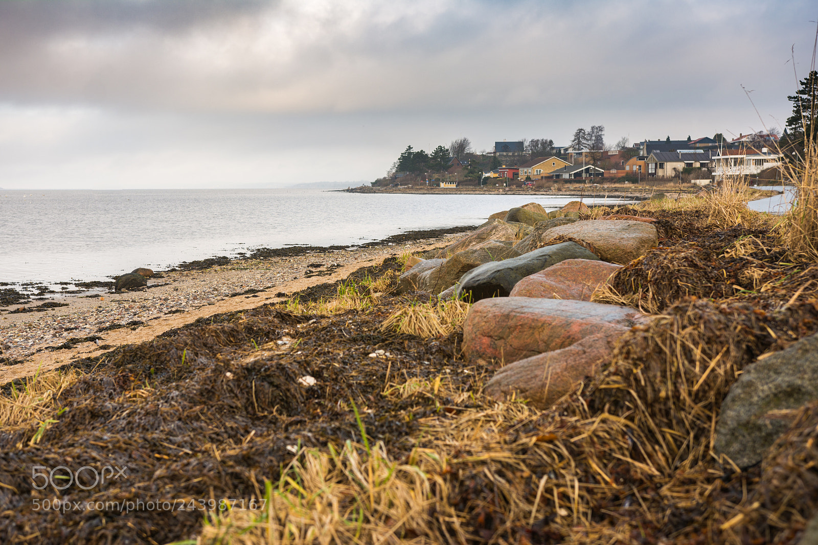 Nikon D7100 sample photo. Shore shire photography