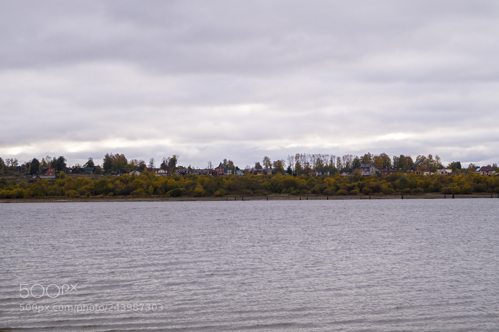 Sony SLT-A37 sample photo. Sheksna riverbank photography